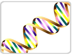 dna